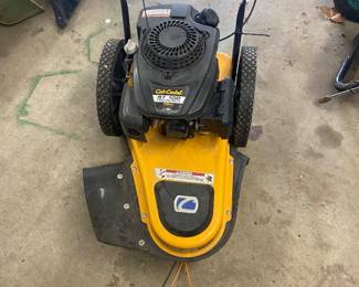 starts and runs, may need a shot of ether 