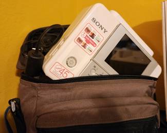 Personal Sony game system