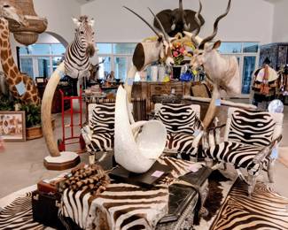 Zebra Chair, African head Mounts, etc