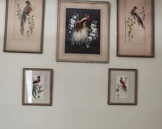 vintage bird pictures