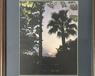Lot 206: Framed Sunset Palm Tree in South Texas Photograph