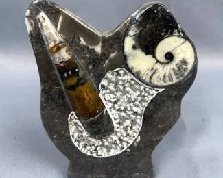 Polished Orthoceras And Ammonite Fossil Display, 5.5" Tall 