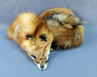 Full Red Fox Pelt, 50" Long 