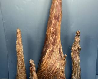 Cypress Knee Sculptures, From 15" Up To 56", Qty 6 