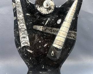 olished Orthoceras And Ammonite Fossil Display, 8.25" Tall