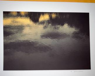 Artist Signed AJ Meek - $300
