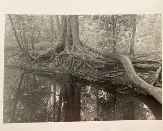 Artist Signed Patricia Meek (Daughter of AJ Meek) - $15