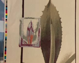 Limited Edition - Signed and Numbered Todd Walker $400