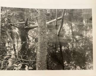 Artist Signed Patricia Meek (Daughter of AJ Meek) - $15