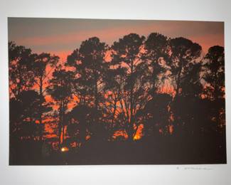 Artist Signed AJ Meek - $300