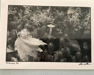 Signed by Artist Less Wallen - Christmas Card -$20