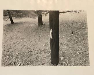 Signed by Artist Michael Book - $300