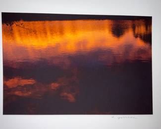 Artist Signed AJ Meek - $300