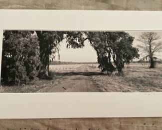 Museum Quality Signed by Artist AJ Meek  - From a Portfolio - $600