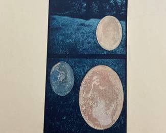 Artist Signed AJ Meek - $50