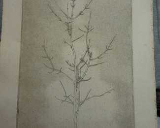 By Adrian Van Suchtelen