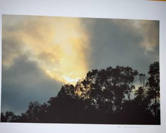 Artist Signed AJ Meek - $300