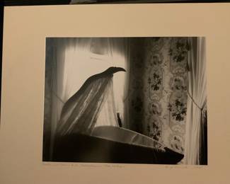 Signed by Artist AJ Meek - $300