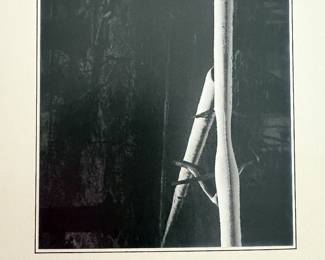 Artist Signed By John  W. Rich 1986 $300