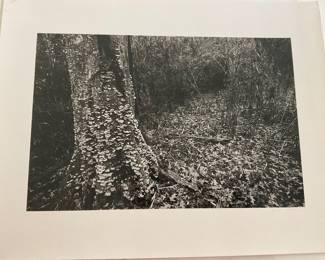 Unsigned Test Print by Artist AJ Meek - $40