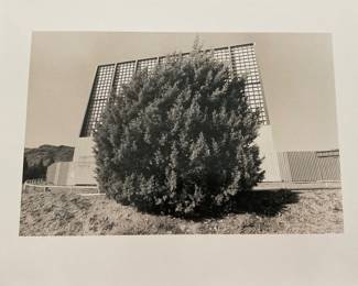 Unsigned by Artist AJ Meek - $40