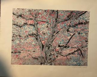 Signed Todd Walker with Letter on Reverse - $800