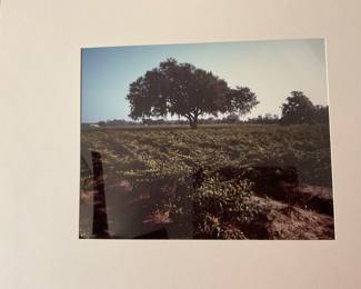 Signed AJ Meek Cover for Red Pepper Paradise Book - $800
