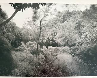 Magic Garden Portfolio 1984