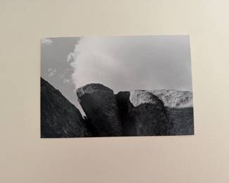 Attributed to Craig Law