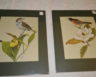 Audubon Lithographs