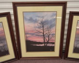 Framed photography works