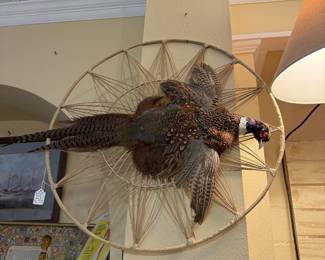 Pheasant taxidermy mount