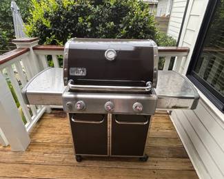 Weber Genesis II E-360