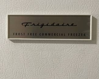 D32 - $125. Frigidaire Frost Free Commercial Freezer. Works well! Needs some cleaning. Garage kept.  