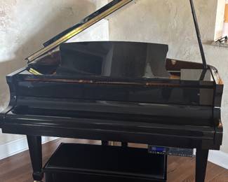 Pearl River Baby Grand piano Model GP142 4' 7"--features a player disc system with integrated speakers and matching bench.  Excellent condition.