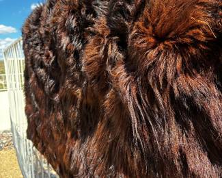 “The Peerless W Fur Robe” Late 1800's Manufactured Buffalo Fur Robe
