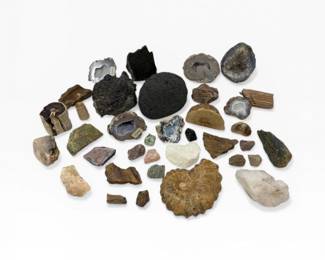 55 LargeFossilRockCrystalCollectionwAmmonitePetrifiedWood