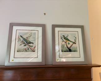 Hand colored etchings $45 esch