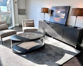 Room and Board chairs, Ikea cabinets, Crate and Barrel rug, table from Merchandise Mart