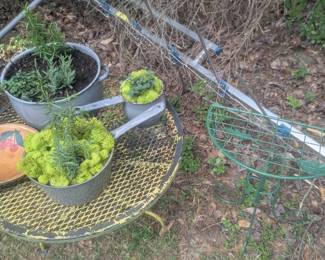 Garden tables and plants 