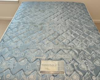 Simmons BackCare "Entre" Early Edition Firm Mattress