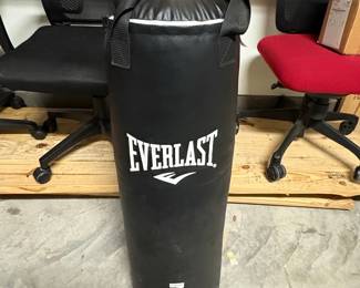 Everlast MMA Heavy Bag (40lb or 70lb)