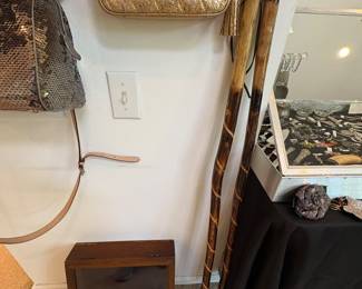 Walking Sticks 