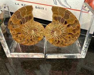 39Apr 28 2026 10 09amZ8SX