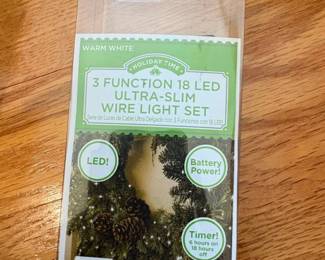 Holiday Time Function LED UltraSlim Wire Light Set
