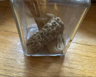 CarbonDated Corn Cob and Silk Specimen Jar  A.D.