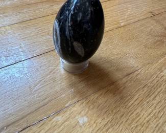 Orthoceras Fossil Egg