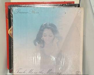 Vinyl Record Collection  Diana Ross, Stephanie Mills, Liza Minnelli, Melba Moore fifth image