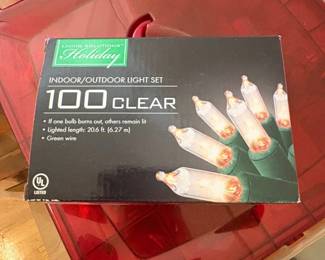 Living Solutions Holiday Clear Indoor or Outdoor Light Set