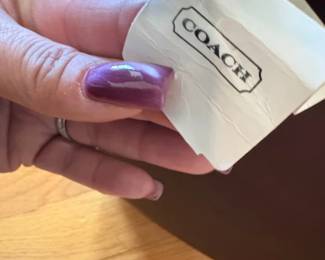 Coach Waverly Tote Bag Brown second image